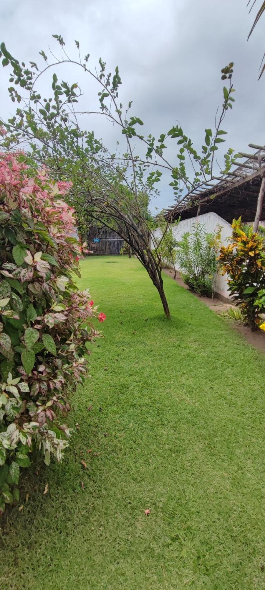 Pousada Sunshine Patacho Rota Ecologica Dos Milagres Pôrto de Pedras Exterior foto