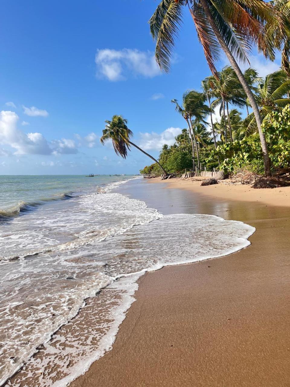 Pousada Sunshine Patacho Rota Ecologica Dos Milagres Pôrto de Pedras Exterior foto